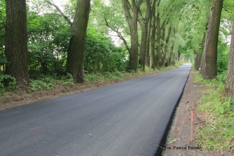 Droga powiatowa Kurów-Karmanowice